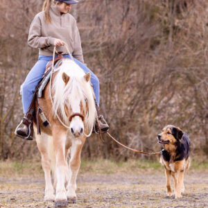 Alena Trojer beim Training für Hund und Pferd