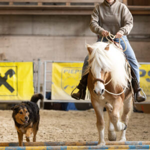 Alena Trojer beim Training für Hund und Pferd