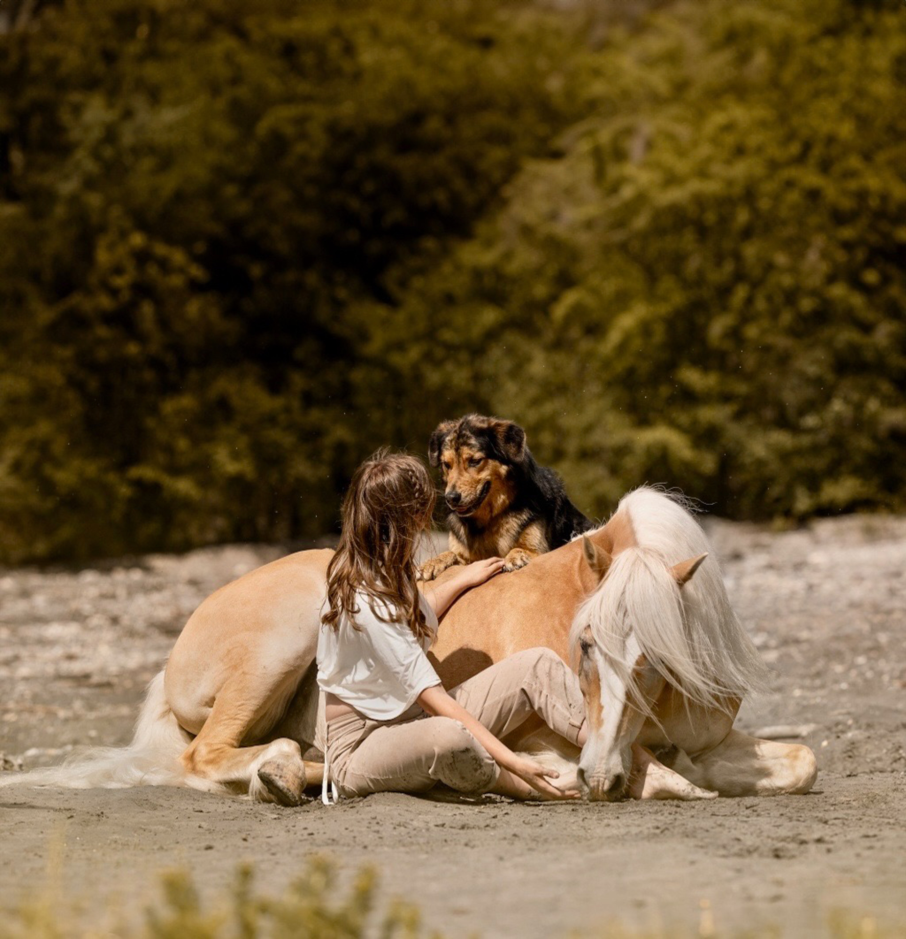 Alena Trojer beim Training mit Hund Barney und Haflinger Luigi