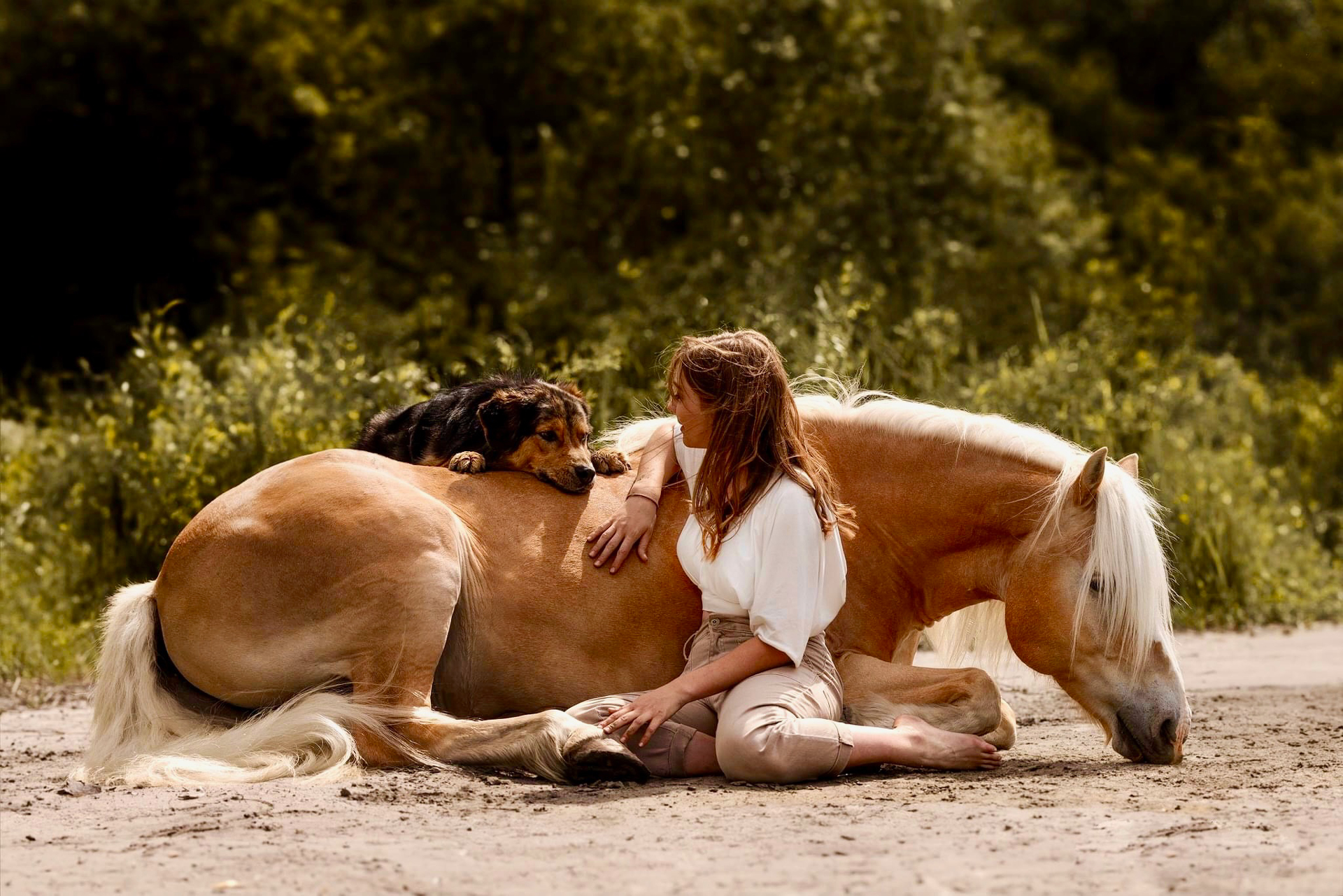 Alena Trojer mit Hund Barney und Haflinger Luigi
