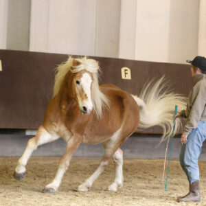 Alena Trojer beim Pferdetraining