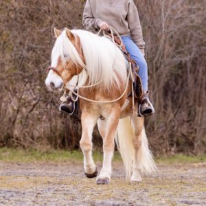 Gelassenheitstraining